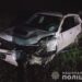 Нетверезий охоронець на Запоріжжі заволодів чужою автівкою та розбив її об паркан (фото)