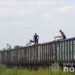Розкрадали вугілля та міндобрива: правоохоронці викрили злочинне угрупування на Запоріжжі (фото, відео)