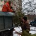 У Запоріжжі продовжують утилізувати новорічні ялинки. ФОТО
