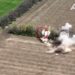 «Азовці» розтрощили на Запоріжжі техніку окупантів. Відео