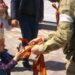 У Мелітополі окупанти змушують дітей одягати георгіївські стрічки