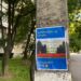 Кілька порад для мешканців тимчасово окупованих територій від мера Мелітополя