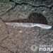 Вбивцею виявися громадянин Сирії — подробиці жорстокої розправи у Запоріжжі
