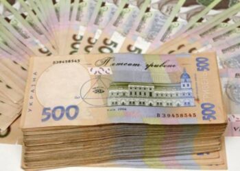 Родини двох нардепів з Запоріжжя під час війни придбали автівки