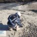 Біля Запоріжжя зафіксована масштабна загибель риби у річці
