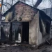 У Запоріжжі 12 рятувальників гасили пожежу — фото