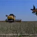Замість родючих земель — мінні поля: стан аграрної галузі у Запорізькій області