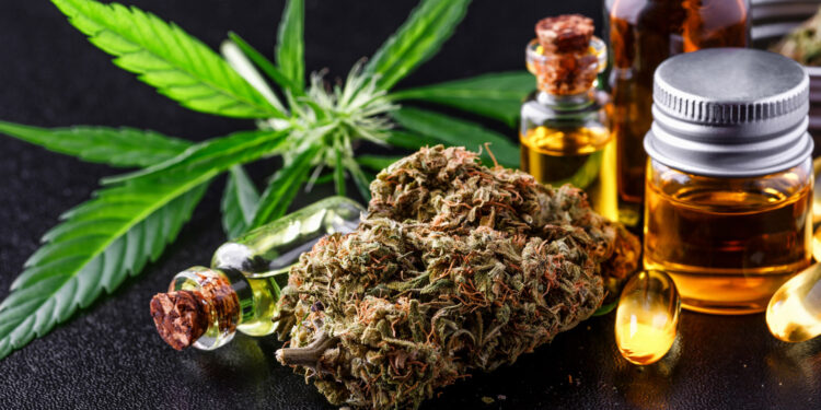 Medical marijuana flower buds. Recreational marijuana strain. Cannabis strain. Weed bud in the glass jar. Dispensary menu. Hemp buds.isolated on black - medical marijuana concept