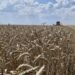 Проєкт «Земельний банк» дозволить орендувати сільськогосподарські землі на прозорих онлайн-аукціонах. Відео