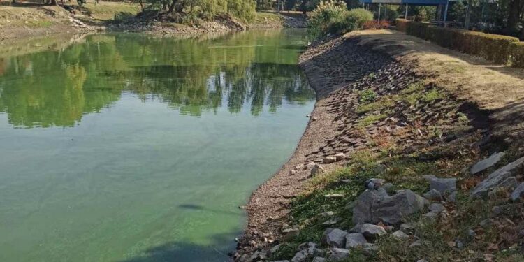 Водойми у парку "Дубовий гай" у Запоріжжі