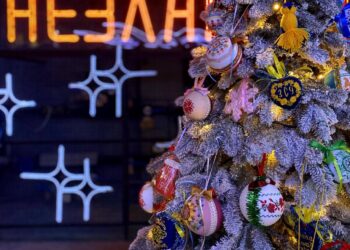 Ялинка у Незламному хабі