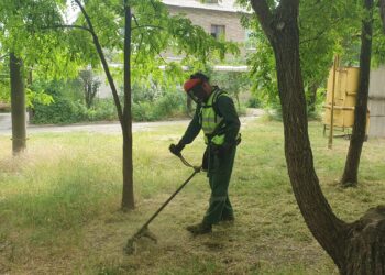 Покіс трави