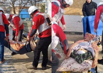 Евакуація з Гуляйполя