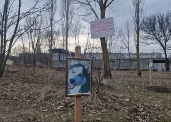 Кладовище тварин у Запоріжжі