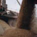«Це рекорд»: росіяни продовжують вивозити зерно з Запорізької області