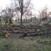 У Запоріжжі планують реконструкцію ще одного парку: виділять мільйони гривень