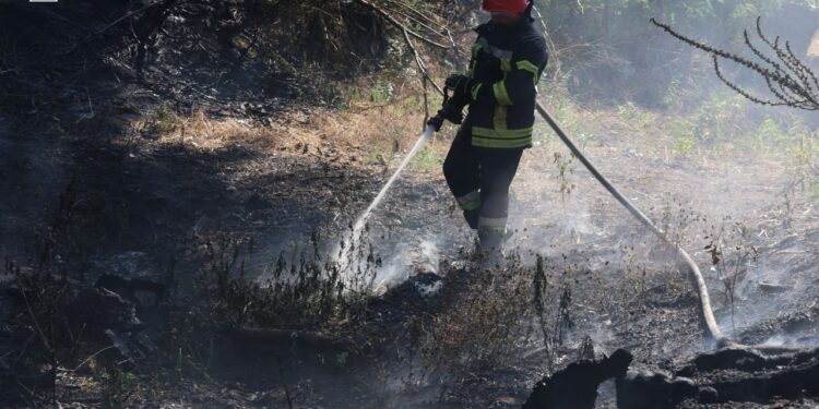 Пожежа на Запоріжжі