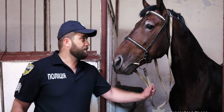 Кінний патруль