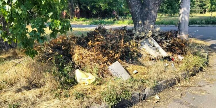Понад 60 квадратних метрів сміття: у Запоріжжі виявили нові сміттєзвалища. ФОТО