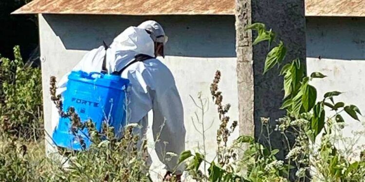 Хімічна обробка від сарани