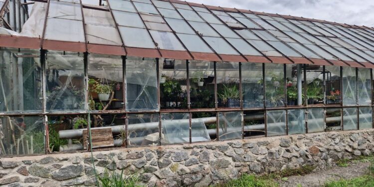 Ботанічний сад після атаки