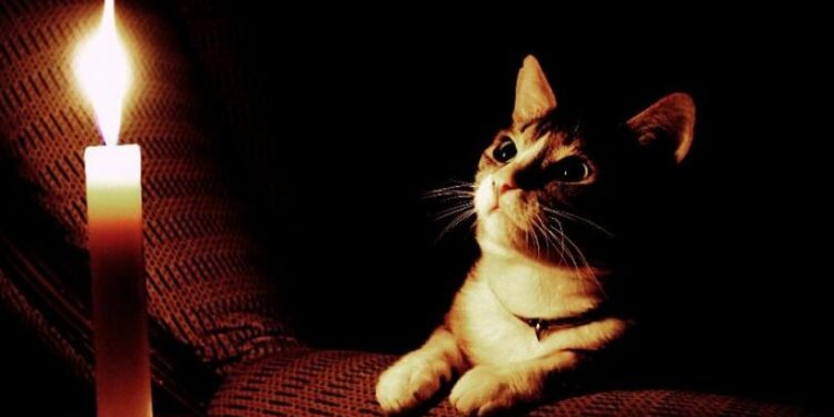 Сьогодні в Запоріжжі масово відключать світло: графіки та адреси