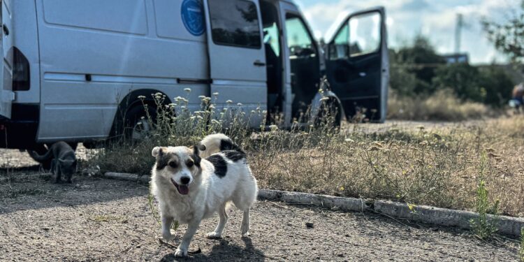 Дрон вибухнув поруч з волонтерами