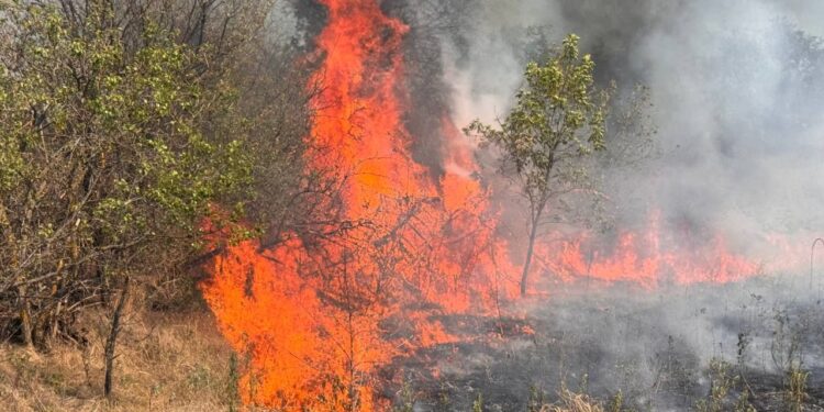 Хортиця у вогні