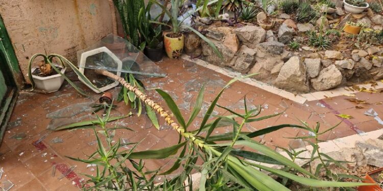 Ботанічний сад після атаки