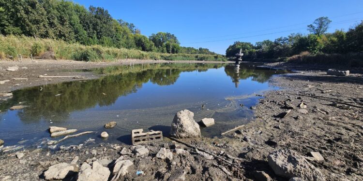 Запоріжці повідомили про мор риби