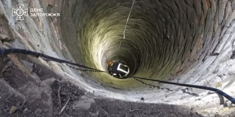 Надзвичайники врятували собаку