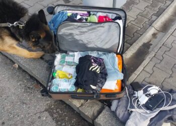 Валізу перевірили