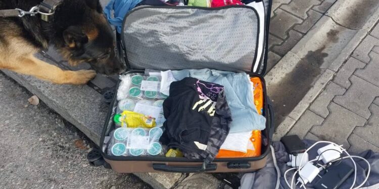 Валізу перевірили