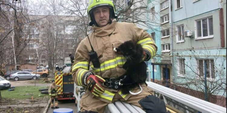 Надзвичайники врятували кота