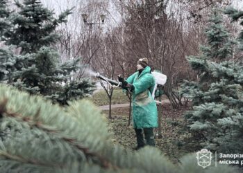 У Запоріжжі обробляють ялинки