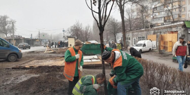 На місцях прильотів у Запоріжжі висаджують липи