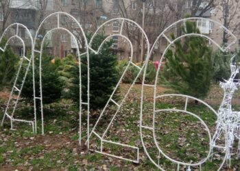 Новорічні ялинки