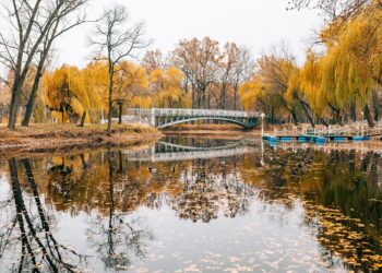 Центральний парк у Запоріжжі