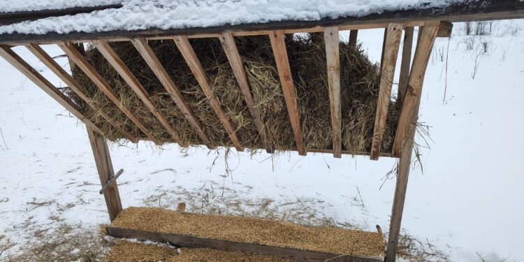 У Запоріжжі на Хортиці годують тварин