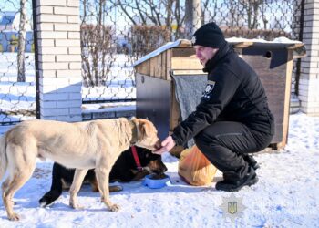 Правоохоронці рятують тварин