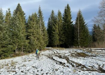 «Туристичний» шлях до Румунії: як чоловіки тікали з Запоріжжя за кордон