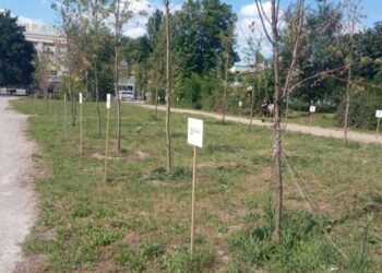 Сквер Тарасова у Запоріжжі