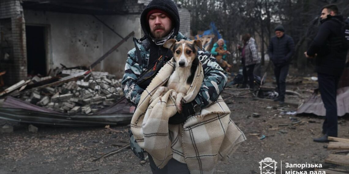 Росіяни атакували притулок для тварин у Запоріжжі