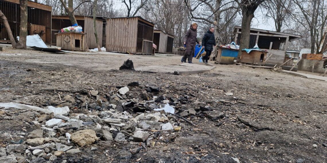 Від атаки постраждав притулок для собак