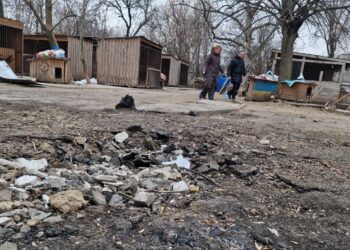 Від атаки постраждав притулок для собак