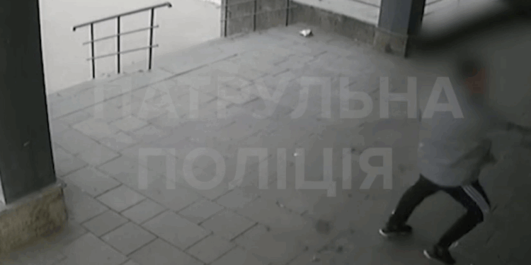 Патрульна поліція