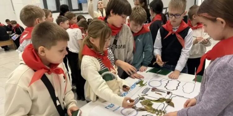 Піонерська система