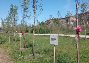 Парк Тарасова