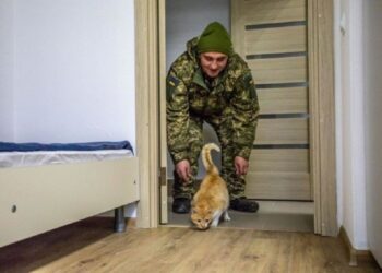 Житло для військових