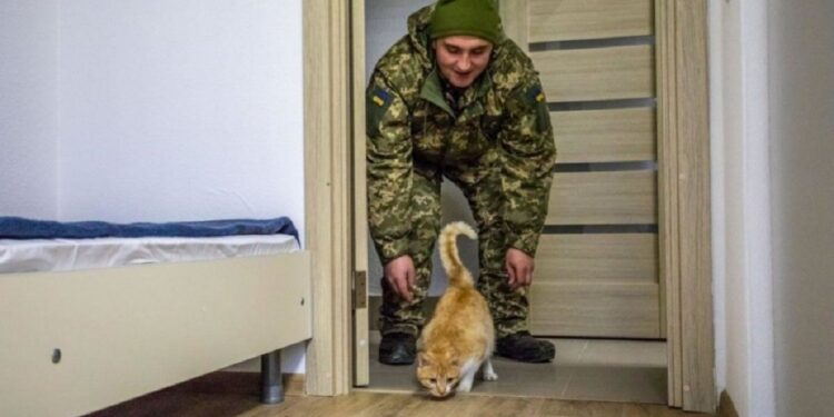 Житло для військових